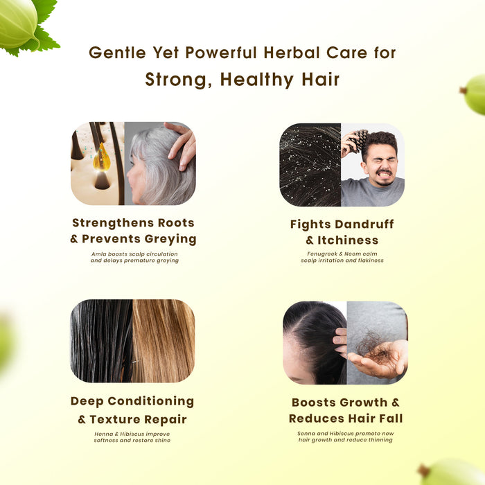 Amla Blend Hair Pack
